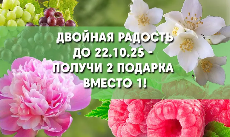 Двойная радость! До 22.10 — 2 подарка вместо 1 Двойная радость! До 22.10 — 2 подарка вместо 1