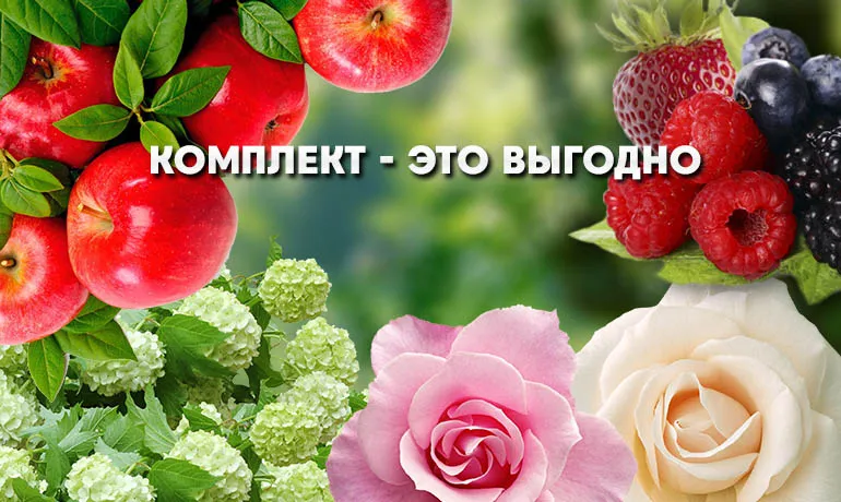 Комплект - это выгодно Комплект - это выгодно
