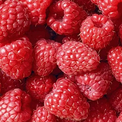 Летняя в Балашихе